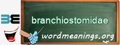 WordMeaning blackboard for branchiostomidae